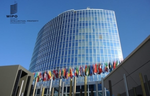 Əqli Mülkiyyət Agentliyinin nümayəndə heyəti  Ümumdünya Əqli Mülkiyyət Təşkilatının üzv dövlətlərinin  Assambleyalarının 59-cu sessiyasında iştirak edəcək
