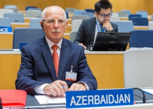 Əqli Mülkiyyət Agentliyinin nümayəndəsi Ümumdünya Əqli Mülkiyyət Təşkilatının İnkişaf və Əqli Mülkiyyət  üzrə Komitəsinin iclasında iştirak edib